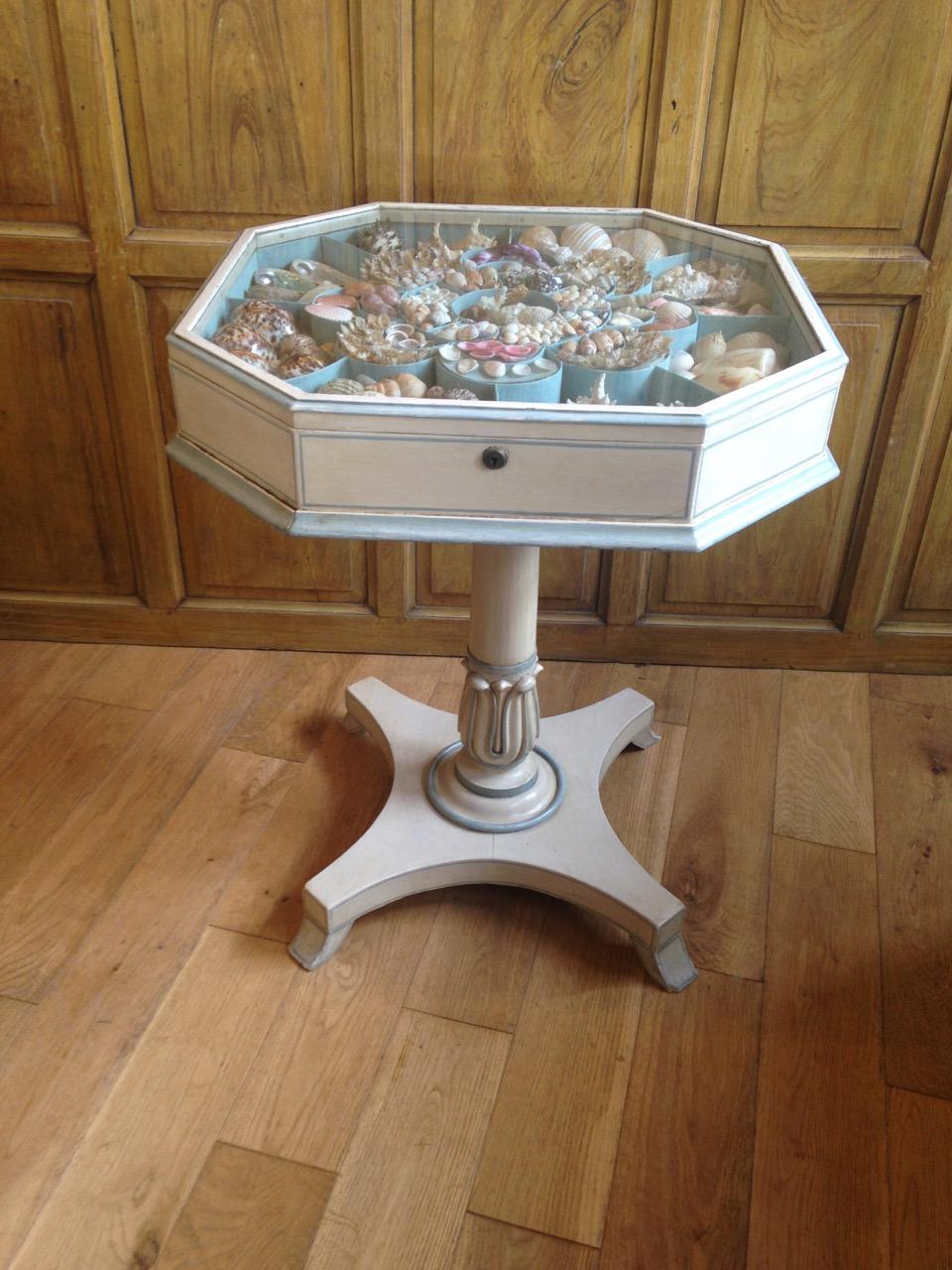 Shell collection Table