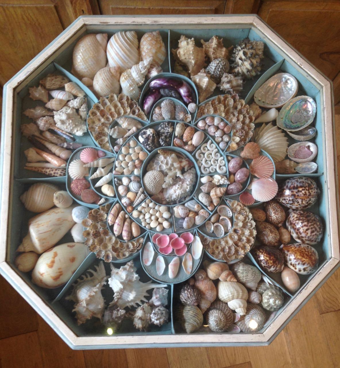 Shell collection Table